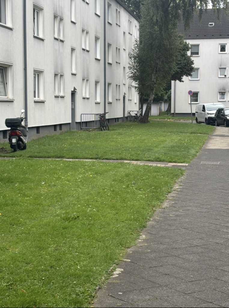 Entrümpelung Düsseldorf - Sperrmüll Garten nachher